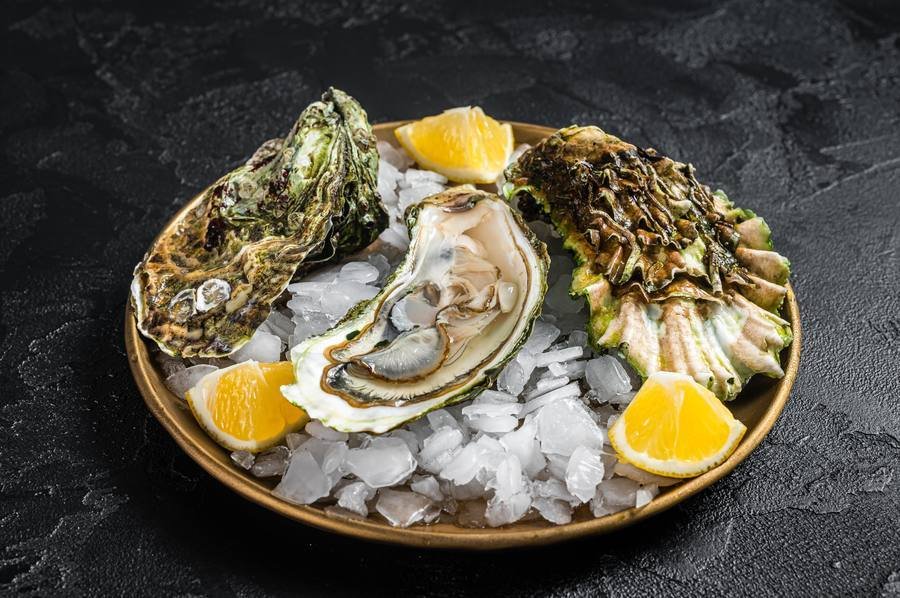 Fresh oysters on ice — the richest natural source of zinc at 74mg per 3oz serving