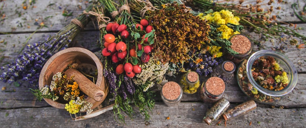 Natural herbs and botanical ingredients including berberine sources