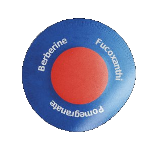Purisaki Berberine Patch