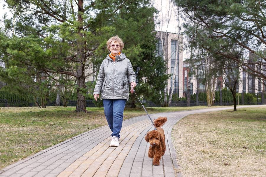 Senior woman walking her dog in park — daily walking for weight management and wellbeing
