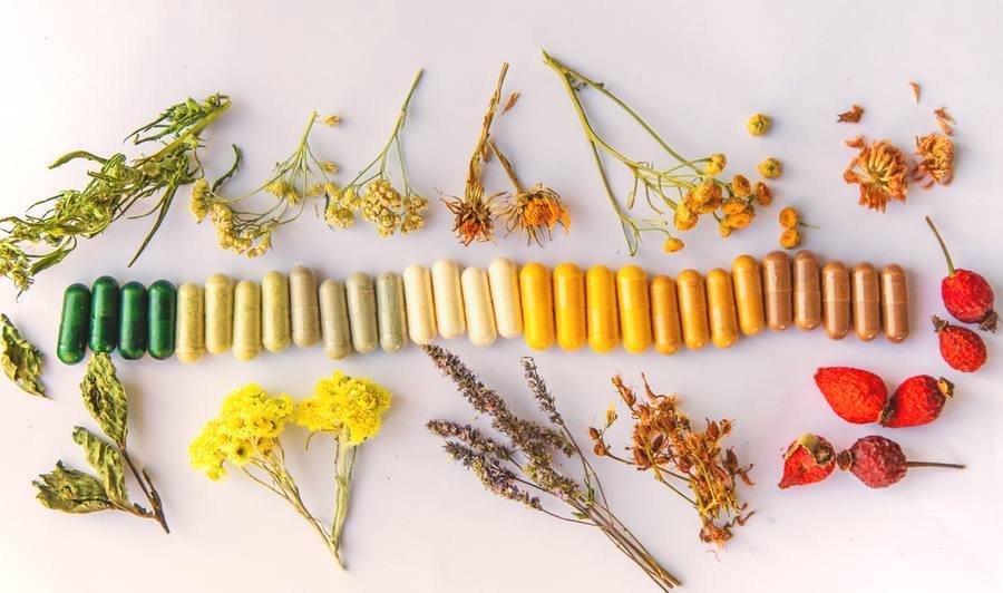 Natural herbal capsules and botanical thermogenic ingredients arranged on white surface