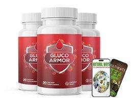 3 Bottles Gluco Armor