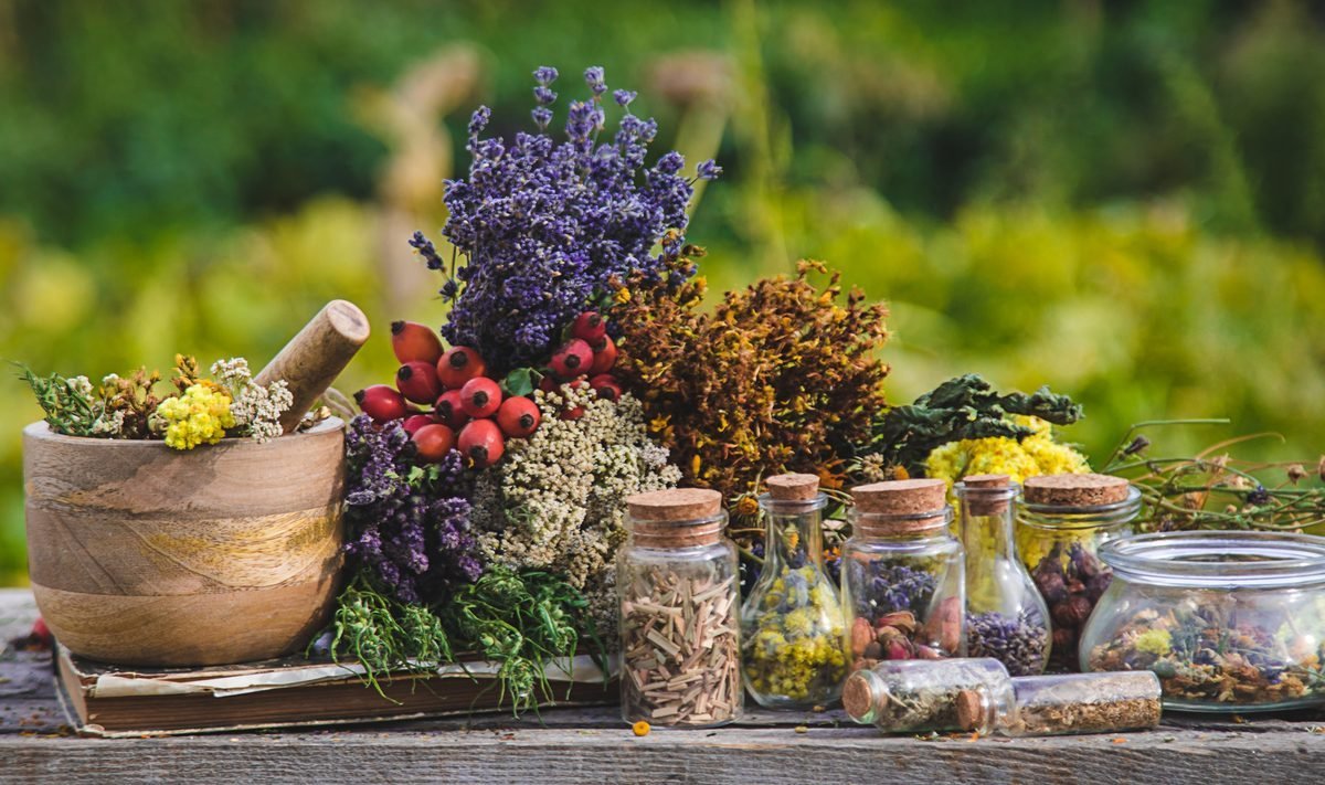 Natural herbs and botanical ingredients used in blood sugar supplements